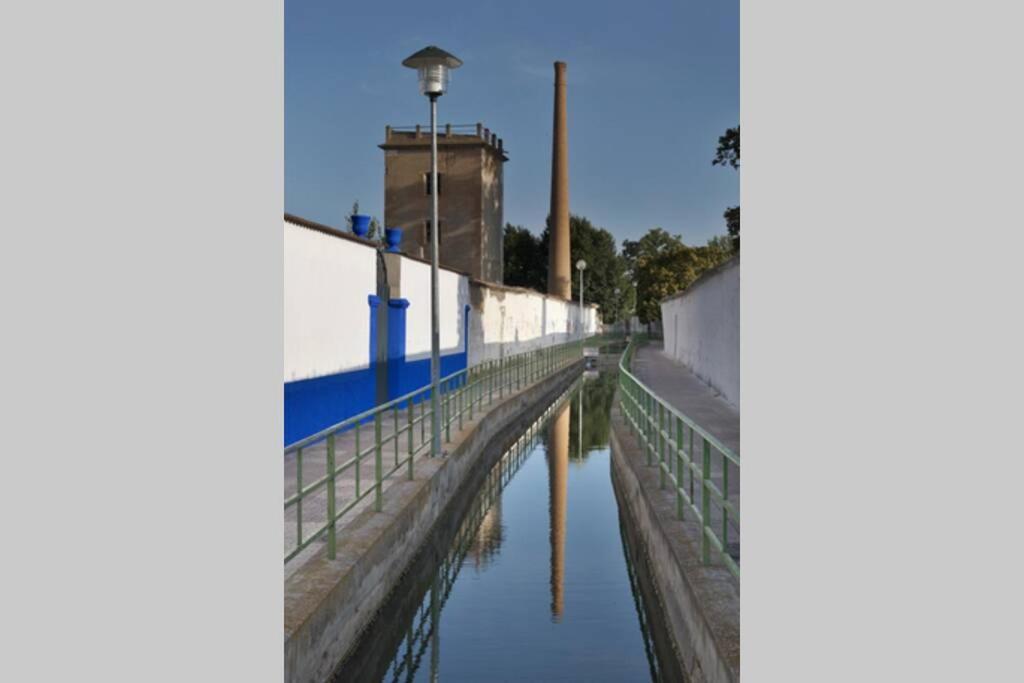 Vivienda Vacacional El Molino Argamasilla De Alba Bagian luar foto