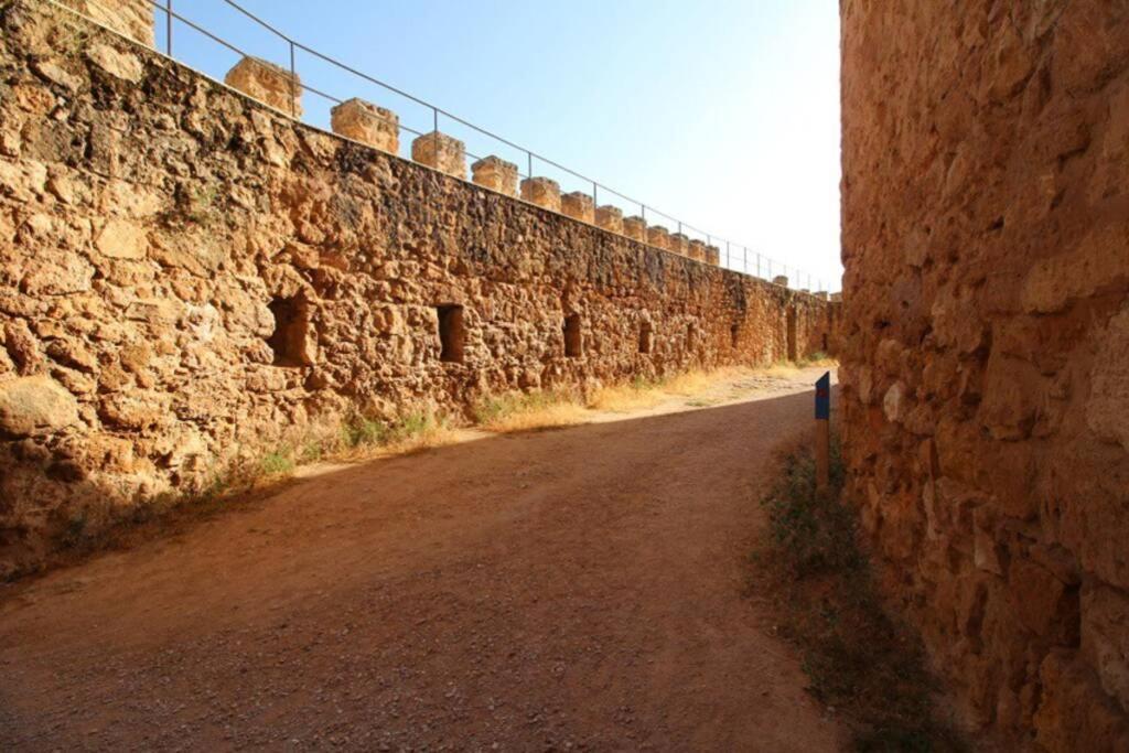 Vivienda Vacacional El Molino Argamasilla De Alba Bagian luar foto
